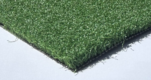 Artificial Turf Lawn